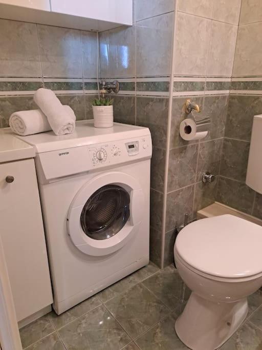 Apartment Carrington 杜布罗夫尼克 外观 照片